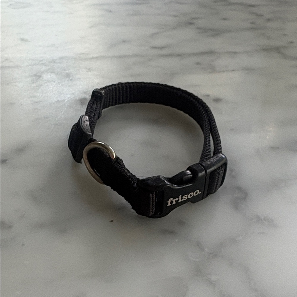 Frisco Black Dog Collar